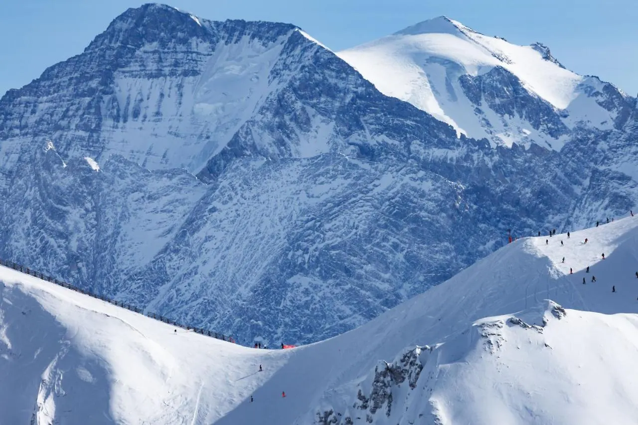 Chalet Bouquetin- Carline 10 To 13 People Villa La Plagne